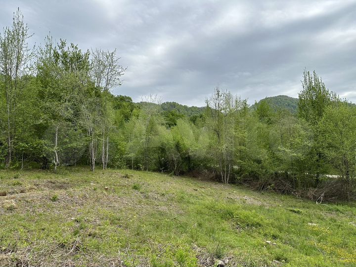 Участок 5,3 сот. (СНТ, ДНП)