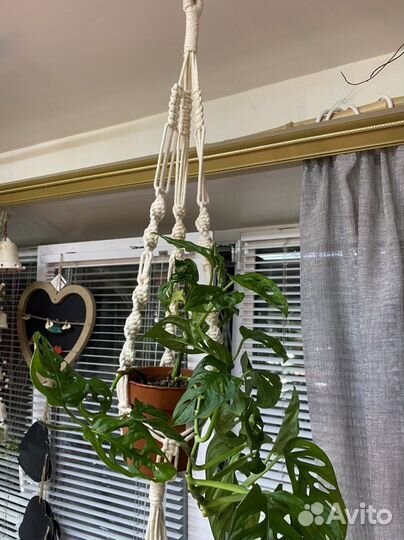 Подвес для цветов