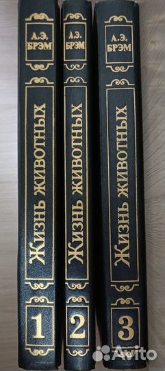 Издание в 3 томах «Жизнь животных» А.Э. Брэма