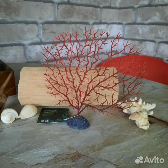 Горгонария для аквариума