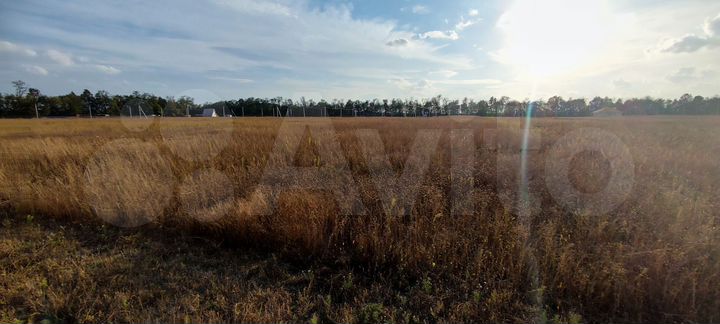 Участок 6,3 сот. (ИЖС)