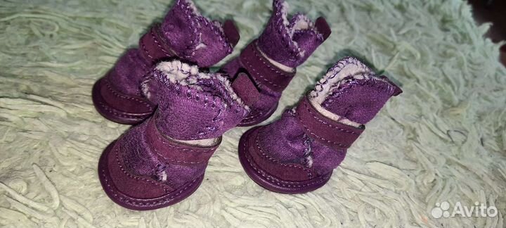 Ботинки для маленьких собак