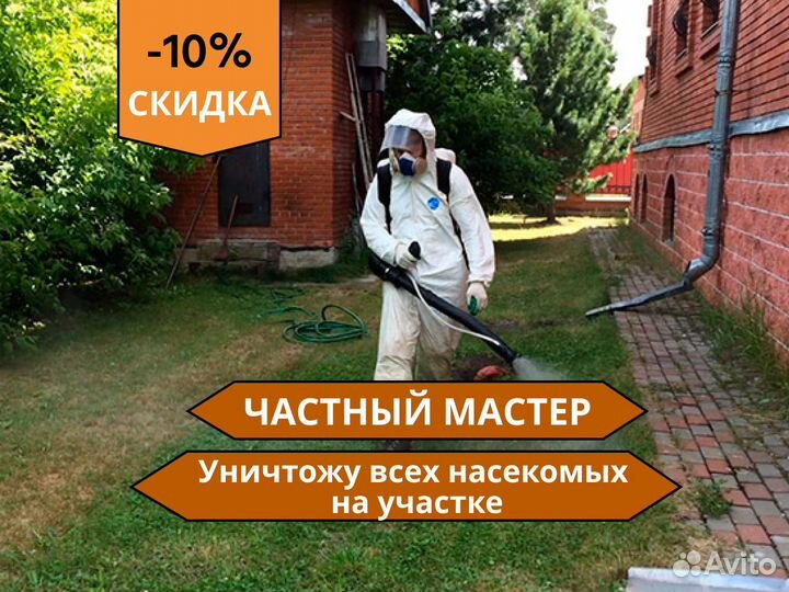 Обработка от клещей / уничтожение клопов