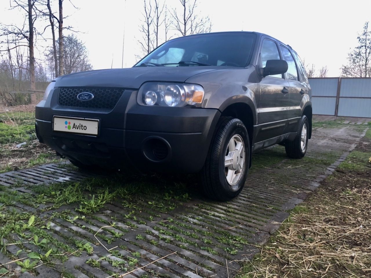 Ford Escape: фото владельца