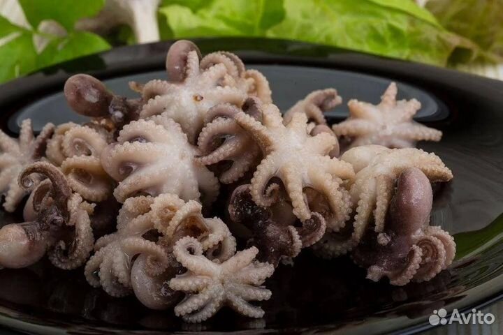 Бэби-осьминоги