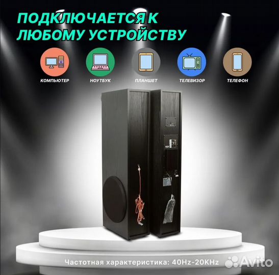 Акустическая система из двух колонок