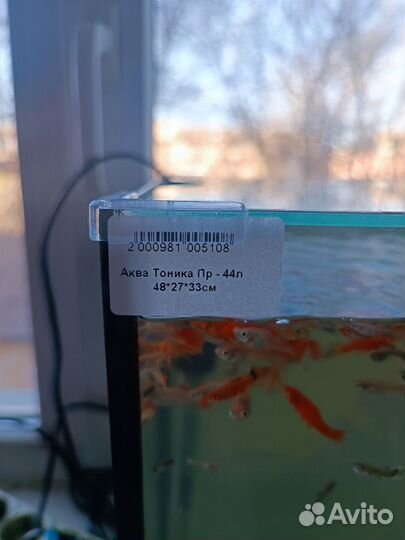 Аквариум и фильтр