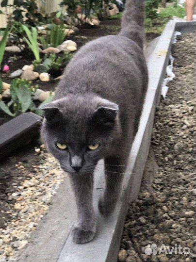 Брусчатка с доставкой