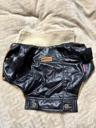 Одежда для собак