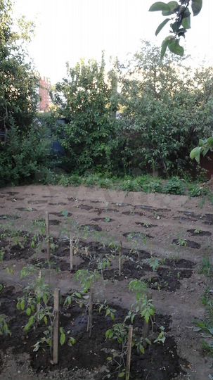 Участок 7 сот. (ИЖС)