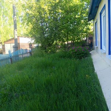 Дом 52,2 м² на участке 25 сот.