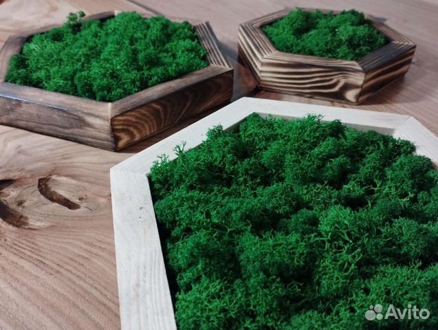 Эко панно со стабилизированным мхом / подарок