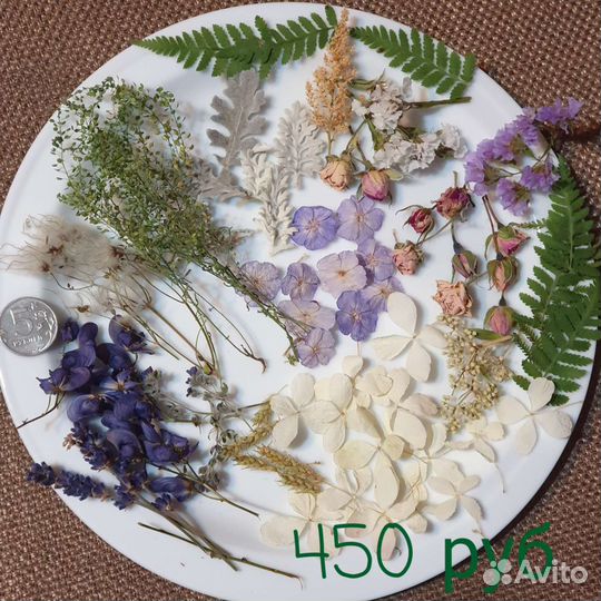 Сухоцветы, стабилизированные розы, гортензия