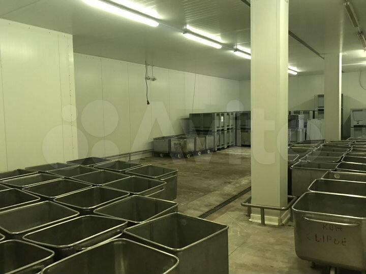 Пищевое производство, 2500 м²