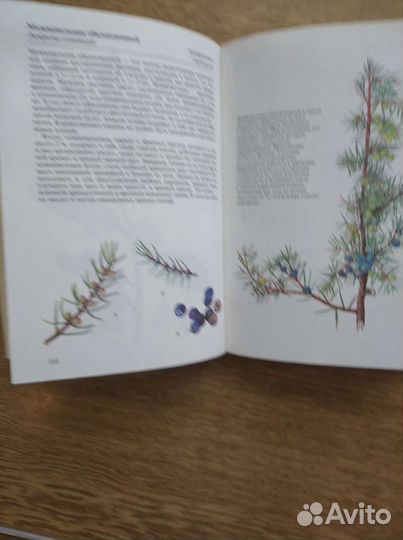 Книга,специи и пряности,1986г изд