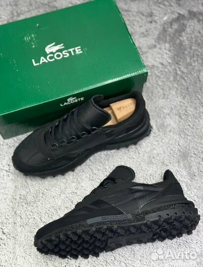 Кроссовки мужские Lacoste 43
