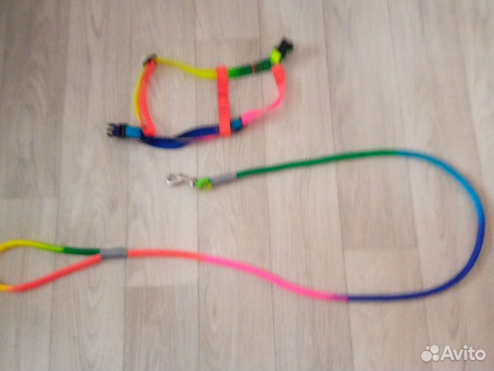 Шлейка для кошки разноцветная регулируется