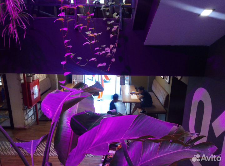 Фитодизайн, озеленение