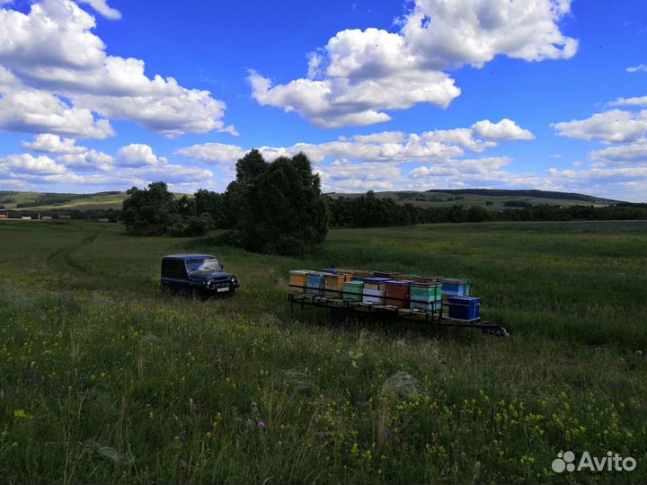 Прицеп для перевозки пчёл