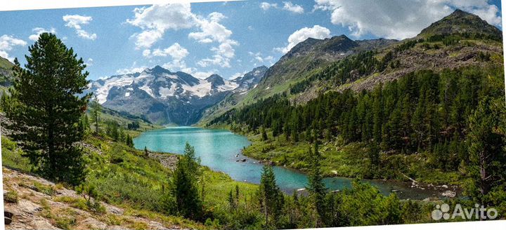 Алтай летом тур путевка экспедиции 6-8 дней