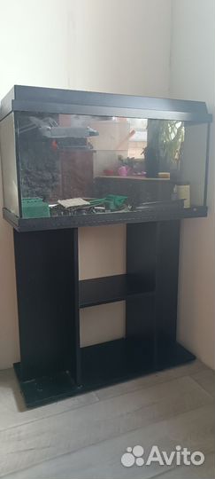 Аквариум с тумбой juwel 110 литров