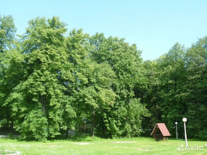 Семейный люкс озеро Увильды база отдыха Урал