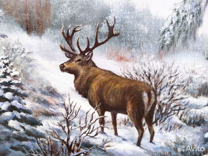 Охота. Красавец олень в зимнем лесу