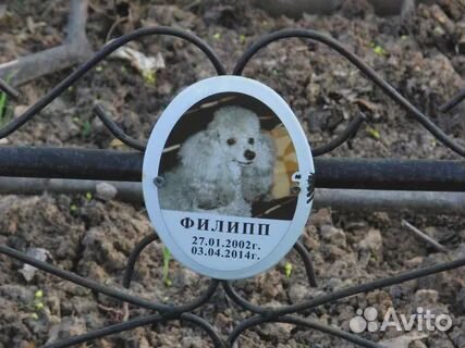 Памятник животному (собаке, кошке) на могилу