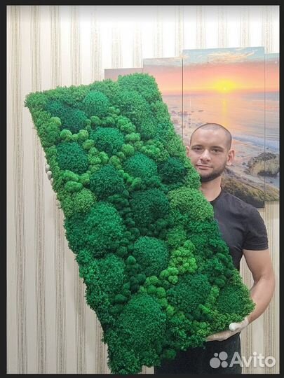 Панно из мха 25х50см для интерьера помещений декор