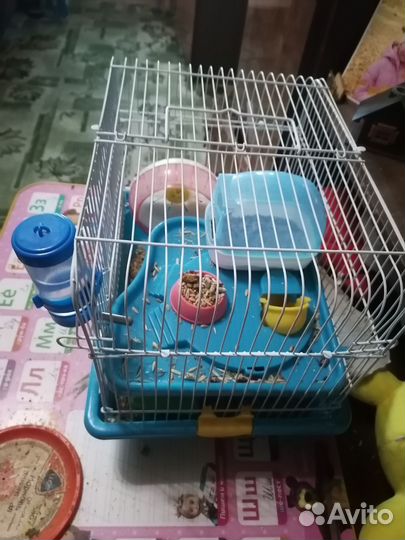 Джунгарский хомяк с клеткой