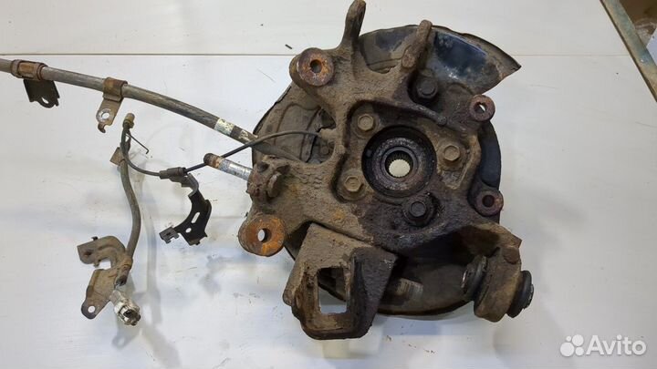 Ступица (кулак, цапфа) Lexus RX, 2009