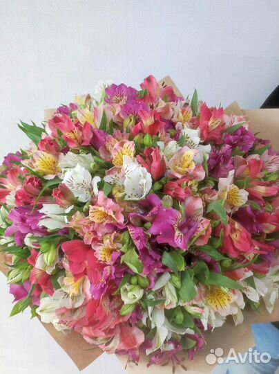 Букет альстромерий