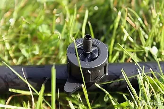 Капельный полив