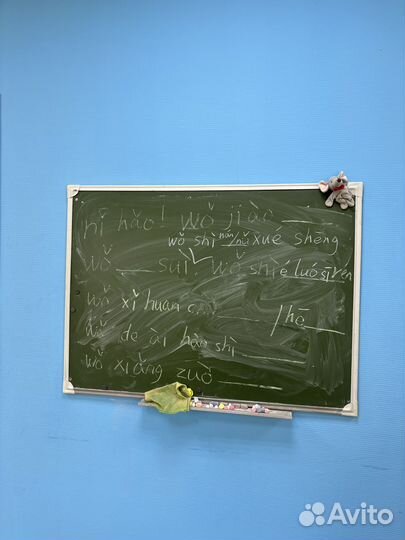 Учитель китайского языка