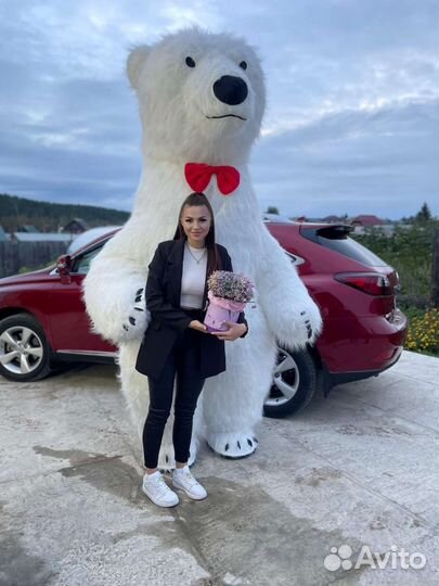 Поздравление от медведя Умки и Чебурашки