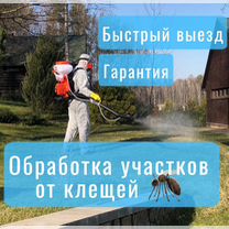 Обработка участков борщевик клещи осы шершни