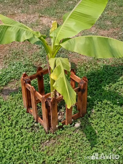 Работы с деревом