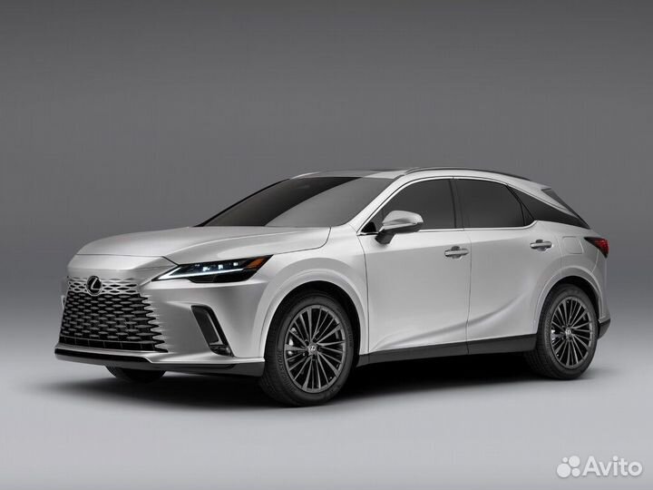 Ворсовые 3D ковры Lexus RX V с 2022 г. в