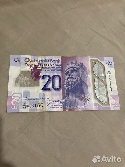 20 шотландских фунтов