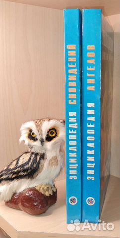 Джеймс Р. Льюис, Ивлин Д. Оливер. 1. Энциклопедия