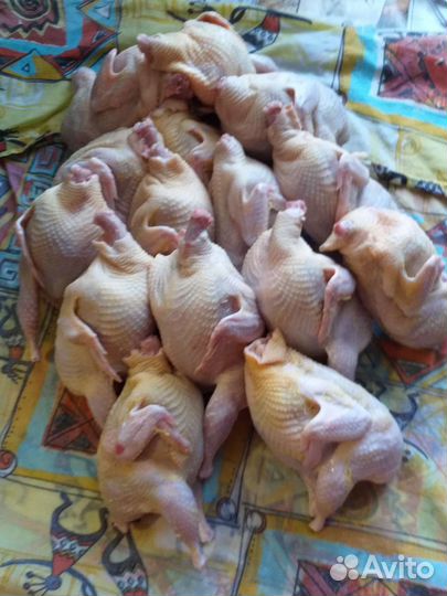 Яйца перепелиные