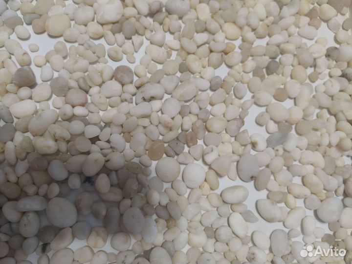 Морские камни