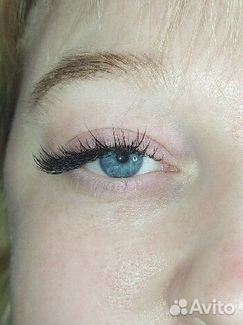 Лешмейкер / Бровист