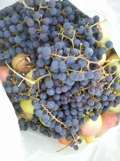 Участок 10 сот. (СНТ, ДНП)