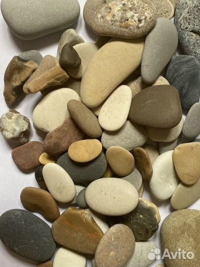 Декоративные камушки и ракушки