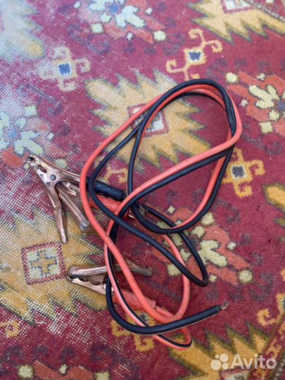 Крокодильчики