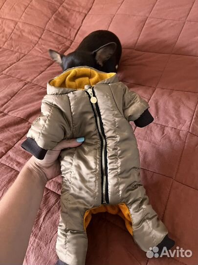 Комбинезон зимний размер S