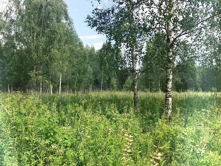 Участок 1,5 га (СНТ, ДНП)