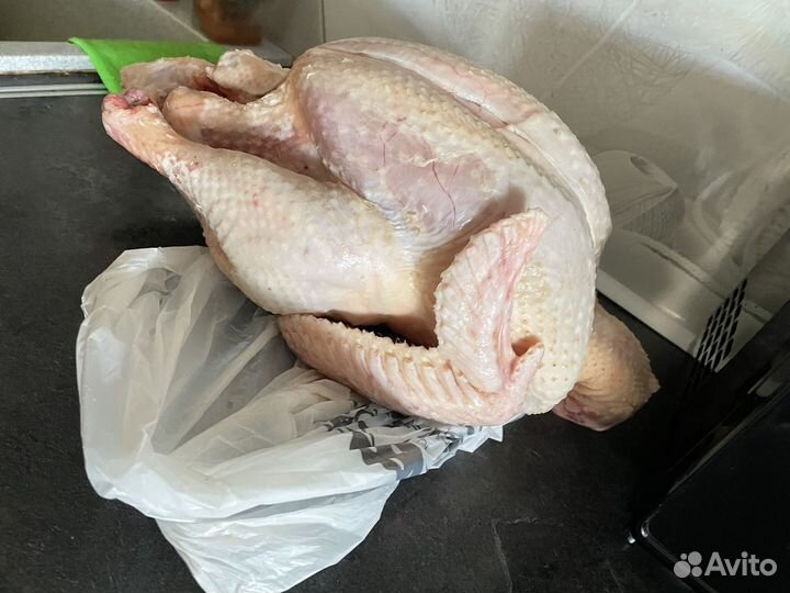 Мясо индейки
