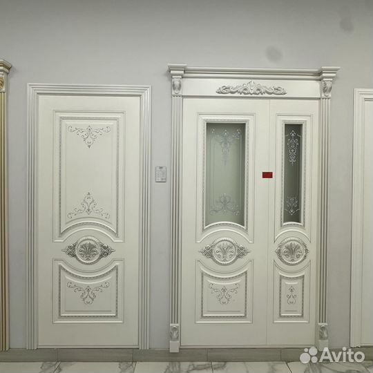 Двери дизайнерские v-8741